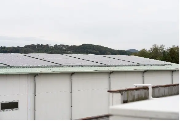 工場の屋上に取り付けた太陽光パネル
